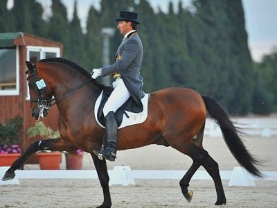 CDI 3* Vejer: Dockx fa poker di vittorie in GP