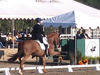 CDI 3* Burbank: Guenter Seidel doppia vittoria.