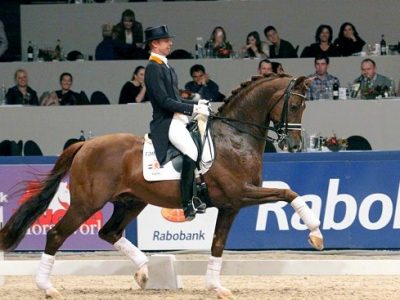 Video: Vivaldi uno stallone bellissimo!