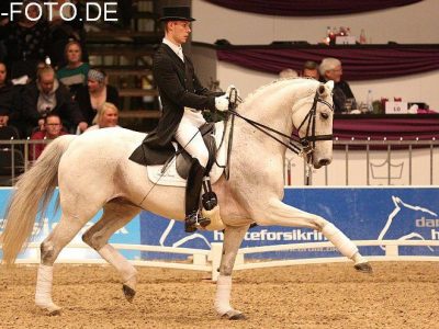 Donna Silver incanta e vince ad Herning!