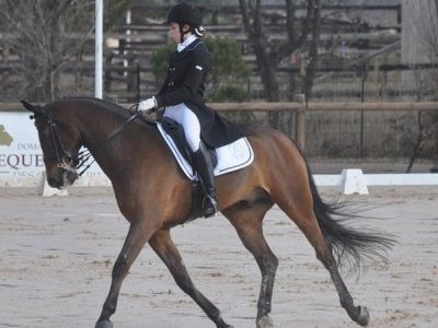 CDI Vidauban: bene le azzurrine dei pony e la Scardacchi nei YR.