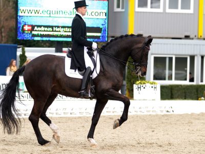 CDI 4* Hagen: Helgstrand batte Peters per un soffio nella kur.