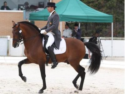 CDI 3* Toledo: nel segno di Dockx !