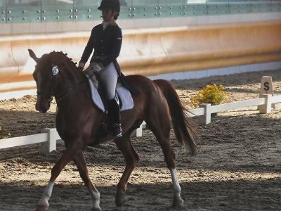 CDIJ Sommacampagna: Margherita Josi vince il Team Test.