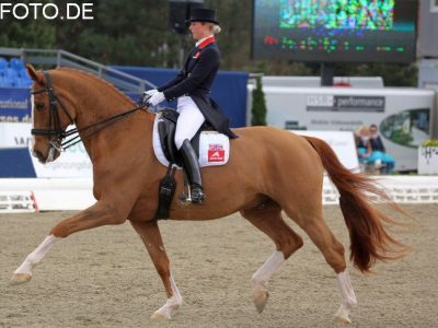 CDI 4* Hagen: Laura Tomlinson super ad Hagen!