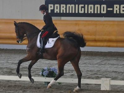 CDI 3*  Sommacampagna: Valentina Truppa e Ranieri nel St George.