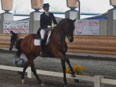 CDI 3*  Sommacampagna: tris di Truppa e Ranieri nello Small Tour!