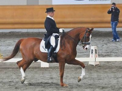 CDI 3*  Sommacampagna: Truppa e Ranieri anche in Inter I