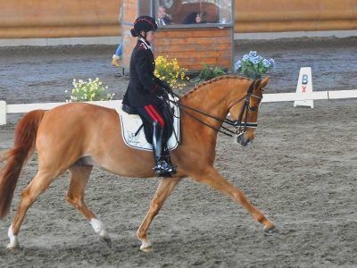 CDI 3*  Sommacampagna: è subito Truppa!