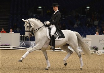 Video: Donna Silver ad Hagen