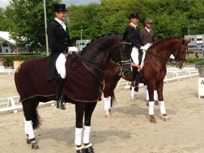 CDI 3* Roosendaal: Gal un debutto da star per Voice.
