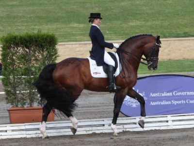 Video: Sheridyn Ashwood kur a Sydney.