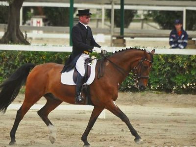 CDN A Cerveteri: ultima giornata di gare all’ Equiconfor.