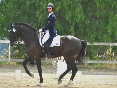 CDN A Cerveteri: Leonardo Tiozzo incanta all’ Equiconfor.