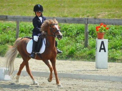 Pony: al via i Campionati a Cervia.