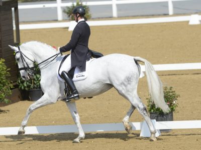 CDI 3* Hartpury: Dujardin nella Kur ed Eilberg nello Special.