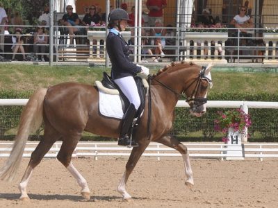 EC Arezzo: Un Dressage di  qualità sempre maggiore.