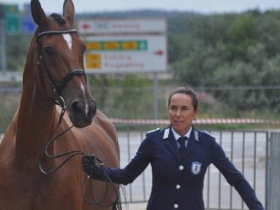 EC Herning: Tutto Ok al Vet check.