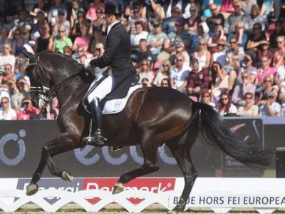 Annullato il CDI 4 stelle Verona.