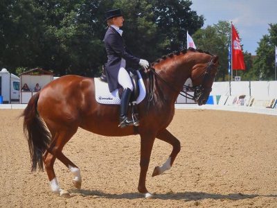 CDI 3* Verden: Nadine Capellmann