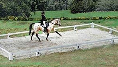 La grande presa per il…kur!