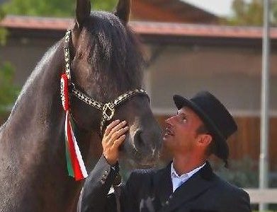 Cambio location per la finale del Master Iberico.