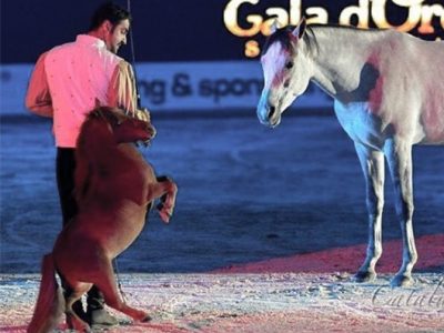 FIERACAVALLI, E’ VERONA LA CAPITALE DEL MONDO EQUESTRE