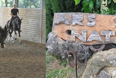 Ars  Naturae dove passione, competenza e armonia convivono e vincono.