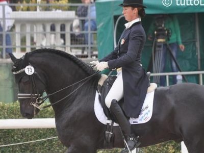 VII Rassegna Nazionale del Cavallo Frisone