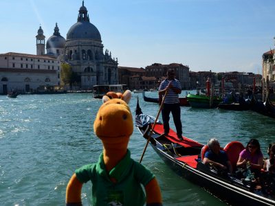 Video: WEG Normandia è già febbre alta!