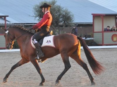 Giovannini esalta con Soleada VI.