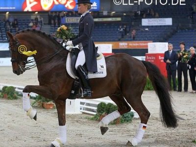 CDI-W Stuttgart: Langehanenberg e Damon Hill super in GP!