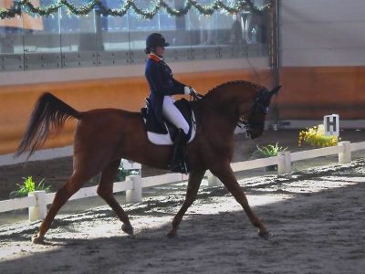 CDN  A  Sommacampagna: Sabato