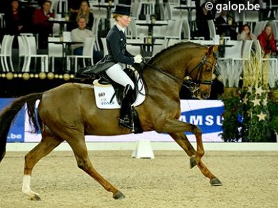CDI 5* Mechelen: Langehanenberg nel GP del WDM.