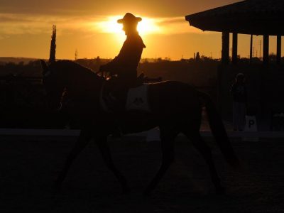 Master Meraviglioso!