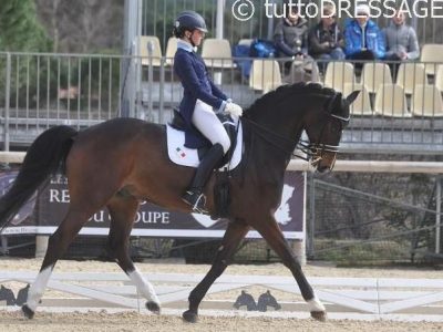 CDI 3* Vidauban: Kur Inter I .