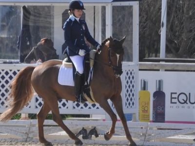 CDI 3* Vidauban: Remold ancora a podio bene anche la Brugnaro nei Pony.