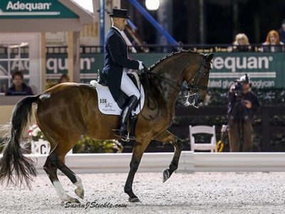 CDI-W Wellington: un grande Petersen nella kur.