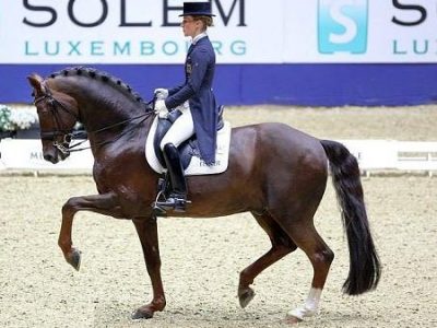CDI 4* Dortmund: Langehanenberg ed Heijkoop.