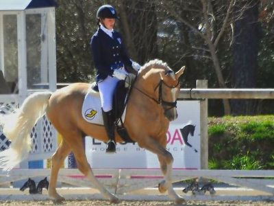 CDI 3* Vidauban: Remold d’ oro nella Kur!