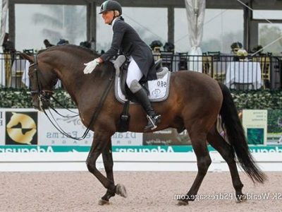 CDI-W Wellington: Lyle vince la kur.