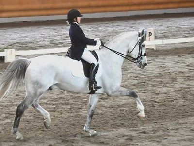 CDIJ Sommacampagna: Berni vince nell’ Individual, bene le azzurre!