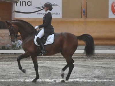 CDI 3*  Sommacampagna: alla Sidneva la Kur, brava la Scolari è seconda.