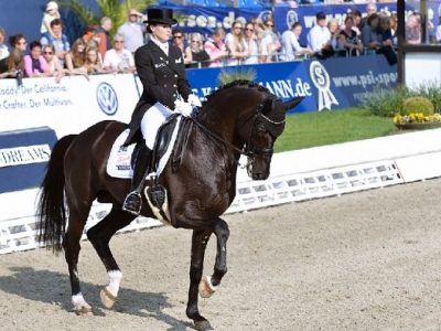 CDI 4* Hagen: Sprehe e Minderhoud protagonisti.