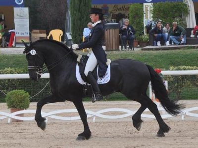 Claudia Montanari incanta e vince con il frisone Titus.