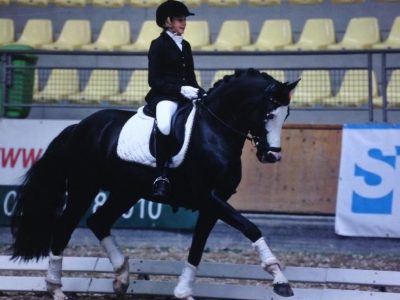 CDIJ/P Roosendaal: terza qualifica per Noa Prijs.