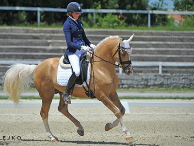 CDIYJP Lipica: L’ Italia s’ è desta…