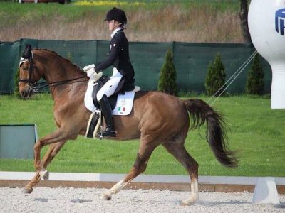 CDIJ/P Radzionkow: Bene Schumann e Campanella.