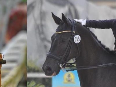 Anna  Paprocka Campanella eletta nel FEI Dressage Committee.