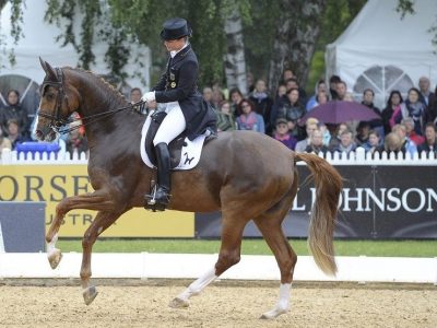 CDI 3* München: Werth impera!